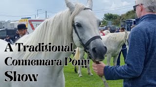 A Traditional Connemara Pony Show [upl. by Neggem]