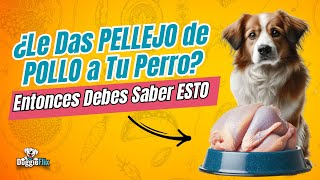 La verdad sobre el pellejo piel de pollo  de pollo para perros [upl. by Elenore]