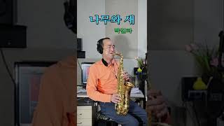 나무와 새 박길라 Alto Saxophone 알토 색소폰 Cover saxophone [upl. by Mukund530]