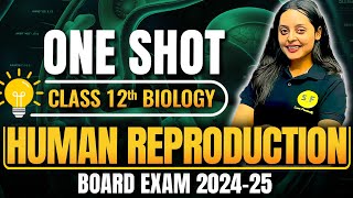 Human Reproduction Class 12 One Shot  Class 12th Biology NCERT Chapter 3 CBSE Board with Sonam Maam [upl. by Ennelram]