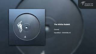 Oxossi  The White Rabbit Rarefied  RAREBLK5 Deep Dubstep [upl. by Etnomal]