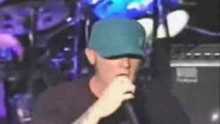 Limp Bizkit  My Way  Thieves Live at Webster Hall NY [upl. by Ailem]