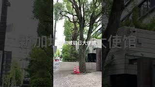 事务所周围大使馆拍一拍第二弹新加坡大使馆 [upl. by Siurtemed]