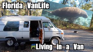 Florida VanLife  Ichetucknee Springs  Living in a Van 012021 [upl. by Alston]