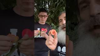 Tasting Kwai Muk Fruit [upl. by Godding]