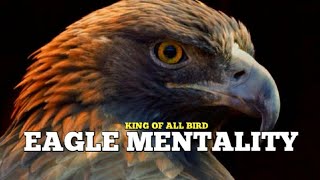 The Eagle Mentality  TD Jakes  Best Motivational video [upl. by Aehsa]