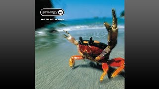 The Prodigy ▶ The·Fat·of·the·Land Full Album [upl. by Rodi]