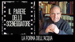 LA FORMA DELLACQUA  videorecensione di Roberto Leoni Eng sub [upl. by Labanna]