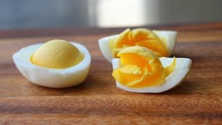 Soft Hard Boiled Eggs  How to Steam Perfect Hard Boiled Eggs with Soft Tender Yolks [upl. by Einahpehs309]