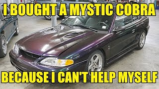 Saving A Mystic 96 Mustang Cobra Part 1 What A Story Also Further Proof I Cant Stop Buying Cars [upl. by Ylrad45]