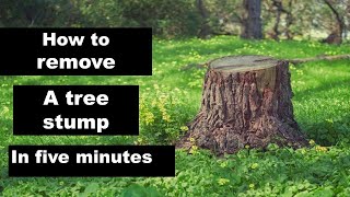 how to remove tree stumps easily SelfMade Tricks with a Crowbar machete and digging fork [upl. by Carissa]