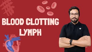 Blood Clotting and lymph [upl. by Ennaehr468]