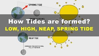 How Tides are Formed  Low High Neap Spring Tide  Geography UPSC IAS [upl. by Notlew133]