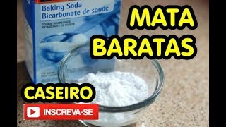 MATA BARATAS CASEIRO EM POUCOS MINUTOS [upl. by Jackelyn]