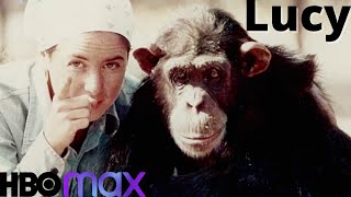 Lucy The Human Chimp  Lucy O Chimpanzé Humano Trailer Documentário Official HBOMAX 2021 [upl. by Tacye]