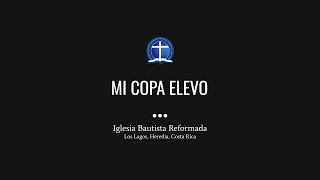 Mi copa elevo [upl. by Eiramannod]