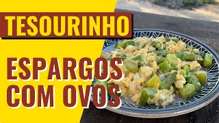 ESPARGOS COM OVOS  TESOURINHO [upl. by Parcel]