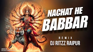 Nachat He Babbar Sher Re Remix  DJ RITZZ RAIPUR [upl. by Leugimsiul]