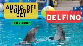 Audio dei rumori dei delfini  descrizione 🐬 Suoni del fischio del delfino 🐬 🔈 [upl. by Aicak]