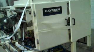 Hayssen 1219SF Servo [upl. by Ahsenac103]