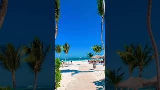 Lopesan Costa Bavaro beach Punta Cana Dominican Republic 🇩🇴 [upl. by Alaham]