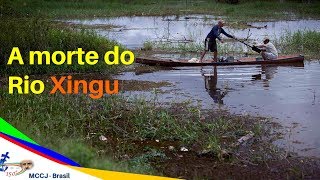 Construção de Belo Monte afeta o rio Xingu e as comunidades indígenas [upl. by Accber619]