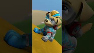 PAW Patrol  La Pat Patrouille  Des chiots puissants contre un poulet GÉANT  🐔 Shorts [upl. by Atews271]