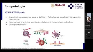 Fisiopatología de las Vasculitis 2023 [upl. by Llennaj]