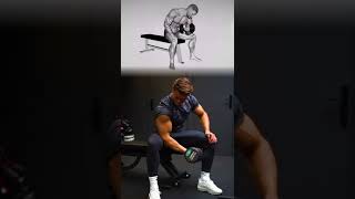 How To Dumbbell Concentration Curl  Biceps Exercise  Tutorial  shorts [upl. by Harberd872]