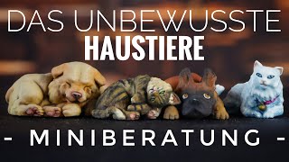 Miniberatung  das Unbewusste Haustiere [upl. by Auos]