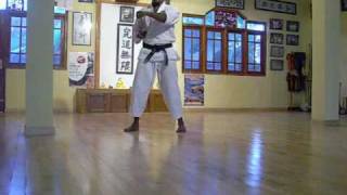 Sochin  Okinawa Shorin Ryu Karatedo KYUDOKAN [upl. by Aihsirt]