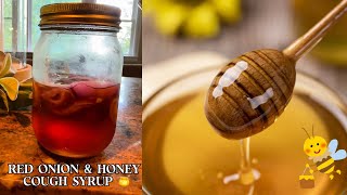 Homemade Red Onion amp Honey Cough Syrup [upl. by Ettore206]