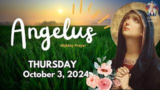 🙏 The Angelus Prayer for Today  Thursday October 3 2024  Midday Prayer 🌼 [upl. by Annaiek41]