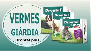 Drontal Plus Cães Vermicida  Giardicida [upl. by Idnal648]