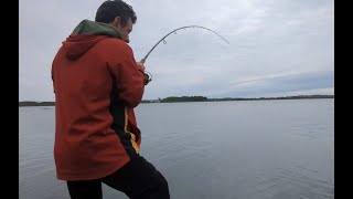 fish on the TOPWATER lure😁 Checking out a new mark  Anglesey sea fishing [upl. by Cristabel]