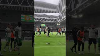 hammarby bajen football soccer [upl. by Adrell]