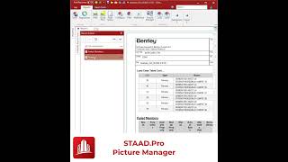 Picture Manager STAADPro shorts tipsandtricks [upl. by Tymes538]