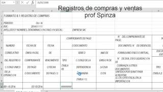 2do Video de contabilidad  Registros de compras y ventas [upl. by Nojed712]