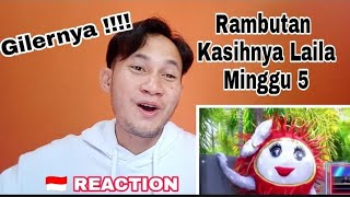 Rambutan  Kasihnya Laila  The masked singer  Minggu 5 🇮🇩 REACTION [upl. by Millhon]