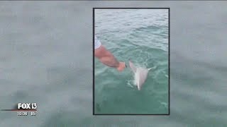 New video shows fishermen shooting shark after dragging it behind boat [upl. by Michaeu113]