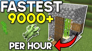 FASTEST Easiest Sugarcane Farm Minecraft Bedrock 121 [upl. by Thibault]