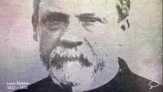 Louis Pasteur Biography [upl. by Bernita400]