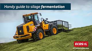 Guide to a successful silage fermentation [upl. by Naras]