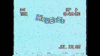 VHS Generation Loss Test On Rarevision [upl. by Gerius]