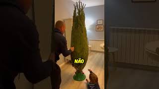 Este homem traz uma árvore de Natal e a decora com seus filhos 🥰 [upl. by Naitsirhk]