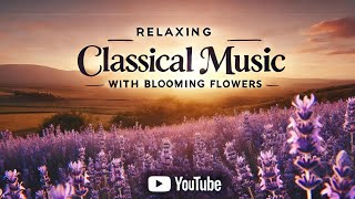 Relaxing Classical Music with Blooming Flowers [upl. by Reena]