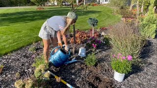 October Clearance Planting Phlox Hibiscus Yarrow and Kniphofia Added to the Fall Garden [upl. by Asserac]