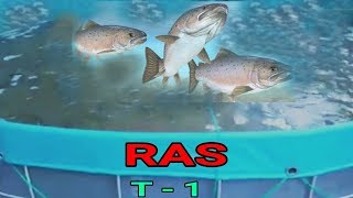 RAS New Technology Set up  Sustainable Aquaculture [upl. by Ramedlaw]