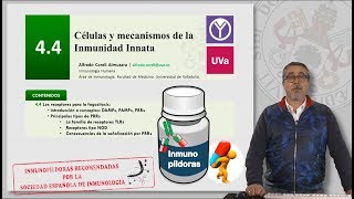 44 CÉLULAS Y MECANISMOS DE LA INMUNIDAD INNATA [upl. by Magnuson]