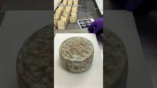 Facts about Pecorino Blue Cheese😋 [upl. by Ginsberg]